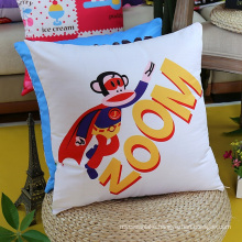 Thrown Pillow for Decorative Home